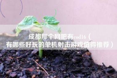 成都那个网吧有cod16（
有哪些好玩的单机射击游戏值得推荐）