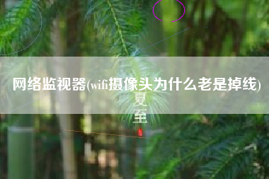 网络监视器(wifi摄像头为什么老是掉线)