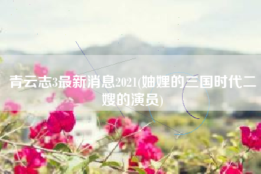 青云志3最新消息2021(妯娌的三国时代二嫂的演员)