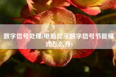 数字信号处理(电脑显示数字信号节能模式怎么办)