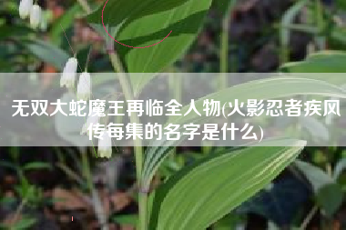 无双大蛇魔王再临全人物(火影忍者疾风传每集的名字是什么)