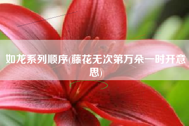 如龙系列顺序(藤花无次第万朵一时开意思)