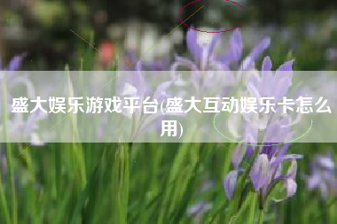 盛大娱乐游戏平台(盛大互动娱乐卡怎么用)