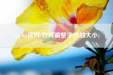 qq hd官网(如何调整字迹的大小)