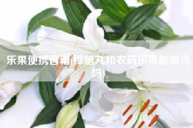 乐果便携音箱(樟脑丸和农药乐果能驱鸟吗)