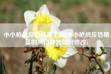 小小枪战反恐精英下载(小小枪战反恐精英的八门神器如何修改)