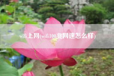 wifi上网(wifi100兆网速怎么样)