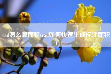 cad怎么算面积(cad如何快速生成标注面积)