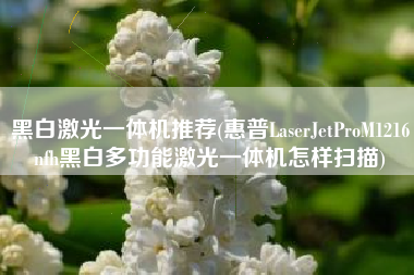 黑白激光一体机推荐(惠普LaserJetProM1216nfh黑白多功能激光一体机怎样扫描)