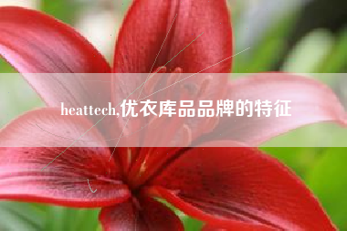 heattech,优衣库品品牌的特征