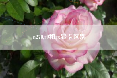 n270,r9和rx显卡区别