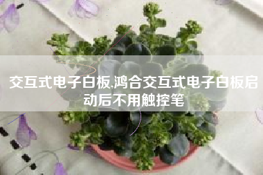 交互式电子白板,鸿合交互式电子白板启动后不用触控笔