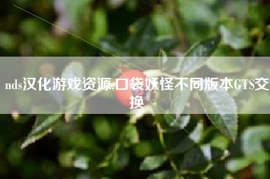 nds汉化游戏资源,口袋妖怪不同版本GTS交换