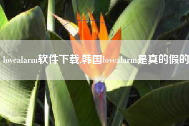 lovealarm软件下载,韩国lovealarm是真的假的