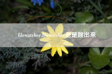 filewatcher,filewatcher老是跳出来