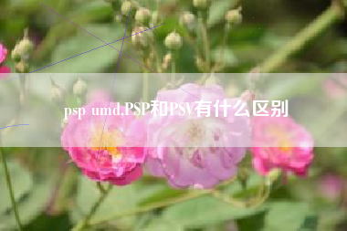 psp umd,PSP和PSV有什么区别