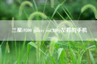 三星i9300 galaxy siii,130g左右的手机