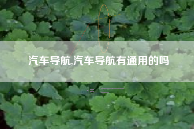 汽车导航,汽车导航有通用的吗