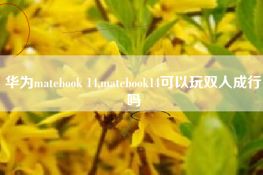 华为matebook 14,matebook14可以玩双人成行吗