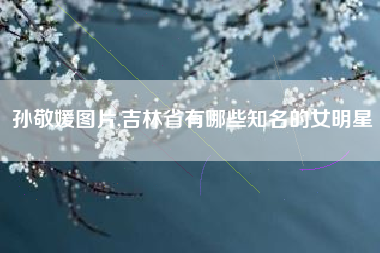 孙敬媛图片,吉林省有哪些知名的女明星