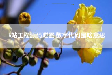 b站工程源码泄露,数字代码是啥意思