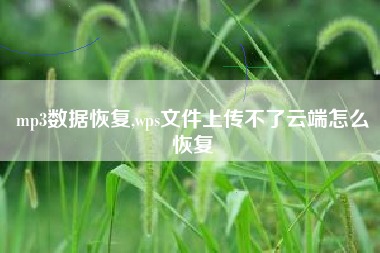 mp3数据恢复,wps文件上传不了云端怎么恢复