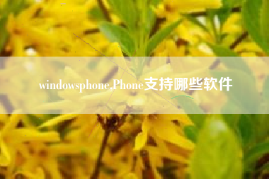 windowsphone,Phone支持哪些软件