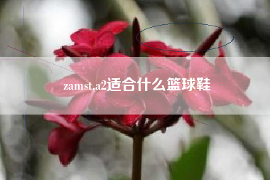 zamst,a2适合什么篮球鞋