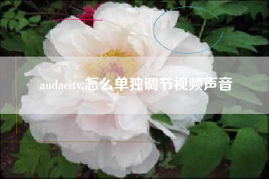 audacity,怎么单独调节视频声音