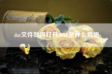 dat文件如何打开,DAT是什么意思