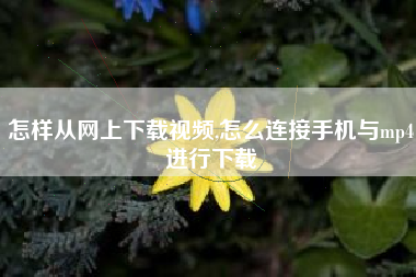 怎样从网上下载视频,怎么连接手机与mp4进行下载