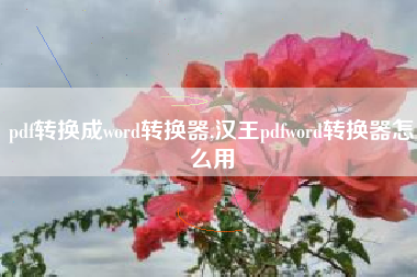 pdf转换成word转换器,汉王pdfword转换器怎么用