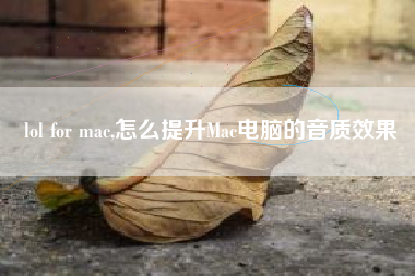 lol for mac,怎么提升Mac电脑的音质效果