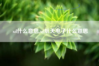 xd什么意思,xd航天电子什么意思