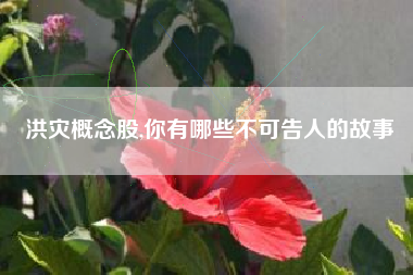 洪灾概念股,你有哪些不可告人的故事