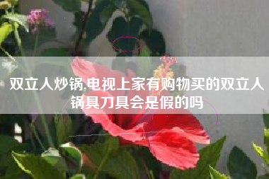 双立人炒锅,电视上家有购物买的双立人锅具刀具会是假的吗