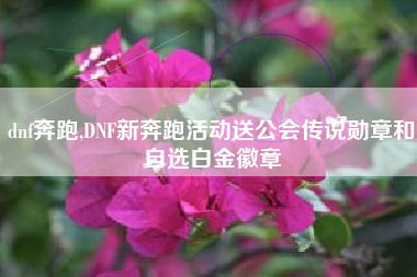 dnf奔跑,DNF新奔跑活动送公会传说勋章和自选白金徽章