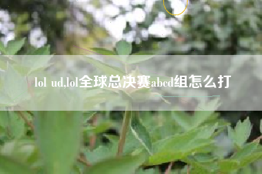 lol ud,lol全球总决赛abcd组怎么打