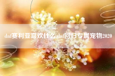 dnf赛利亚喜欢什么,dnf回归专属宠物2020