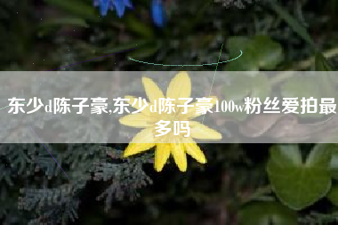 东少d陈子豪,东少d陈子豪100w粉丝爱拍最多吗