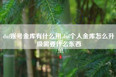 dnf账号金库有什么用,dnf个人金库怎么升级需要什么东西