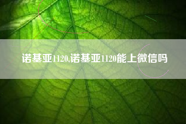 诺基亚1120,诺基亚1120能上微信吗