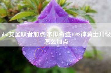 dnf女圣职者加点,木瓜奇迹109S神骑士升级怎么加点