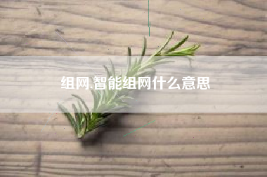 组网,智能组网什么意思