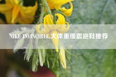 NIKE INVINCIBLE,大体重缓震跑鞋推荐