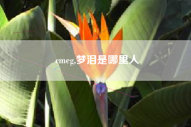 cmeg,梦泪是哪里人