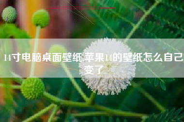 14寸电脑桌面壁纸,苹果14的壁纸怎么自己变了