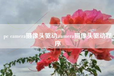 pc camera摄像头驱动,camera摄像头驱动程序