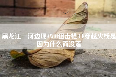 黑龙江一河边现AWM狙击枪,CF穿越火线是因为什么而没落