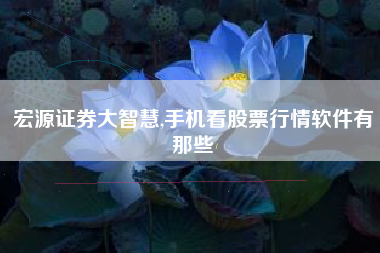 宏源证券大智慧,手机看股票行情软件有那些